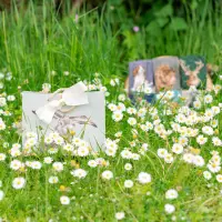 Wrendale Designs Herrensocken Eisvogel