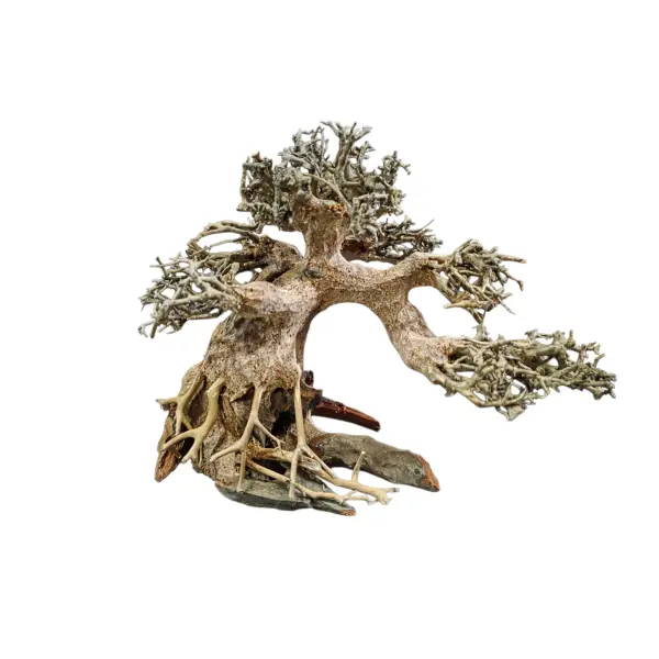 Aquarium Münster Aquadeco Aqua Bonsai Wurzel S 15-20cm