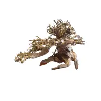 Aquarium Münster Aquadeco Aqua Bonsai Wurzel S 15-20cm