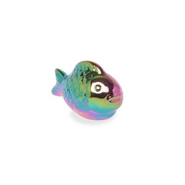 Schwimmfisch Regenbogen für Miniteich