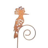 Rostdeko Wiedehopf auf Schneckenstab