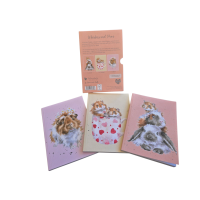 Wrendale Notizbuch Set 3 Stück Mini