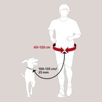 Trixie Bauchgurt mit Leine bis 40 kg schwarz