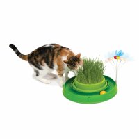 Catit Play-n-Scratch Grün mit Biene und...