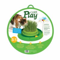 Catit Play-n-Scratch Grün mit Biene und Katzengrasgarten
