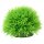Hobby Plant Ball 1 6 cm