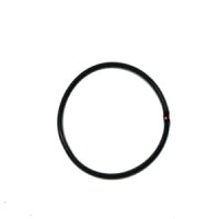 Fluval FX4 Dichtungsring für den Motor