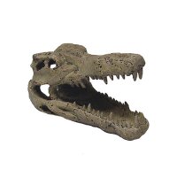 Trixie Krokodil-Schädel 14cm Aquariumdeko