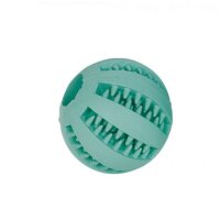 Nobby Vollgummiball Dental Fun türkis 5cm