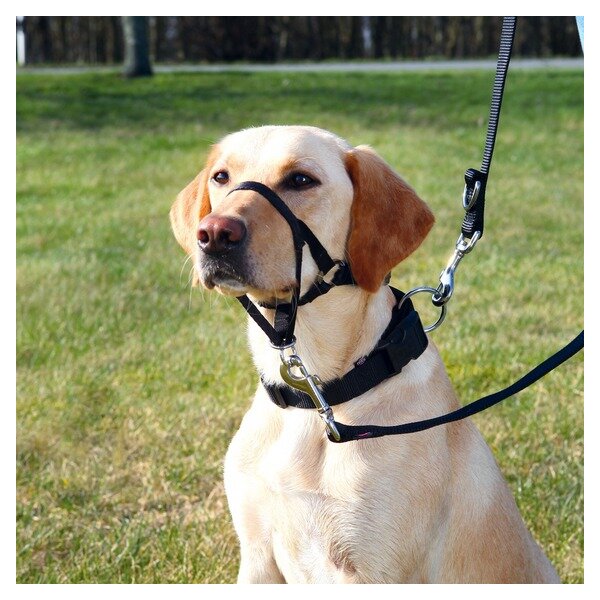 Trixie Top Trainer Ausbildungsgeschirr  M 27 cm