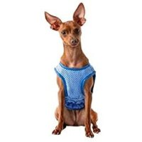 GFPET K?hltuch / Schal in XS f?r den hei?en Sommer
