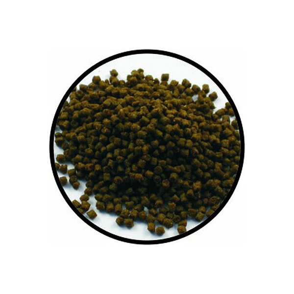 Aquarium Münster Dr. Bassleer Biofish Food Herbal XL 170g