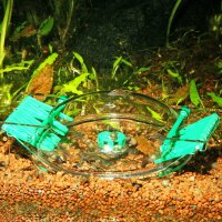 JBL LimCollect II Schneckenfalle
