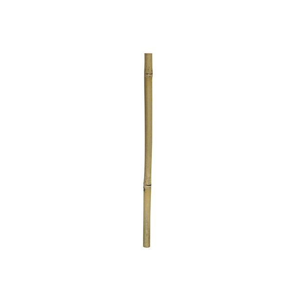 Hobby Bamboo Stix 50cm 2-3 cm