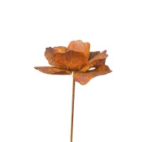 Rostdeko Mohn Blume mit goldmitte D. ca 20cm Stab 6mm...