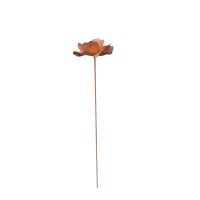 Rostdeko Mohn Blume mit goldmitte D. ca 20cm Stab 6mm Länge 100cm