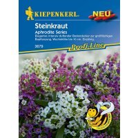 Kiepenkerl - 3679 Steinkraut