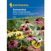 Kiepenkerl 4092 Sonnenhut Blume