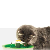 Catit Senses 2.0 Flower Fountain Blumentrinkbrunnen für Katzen