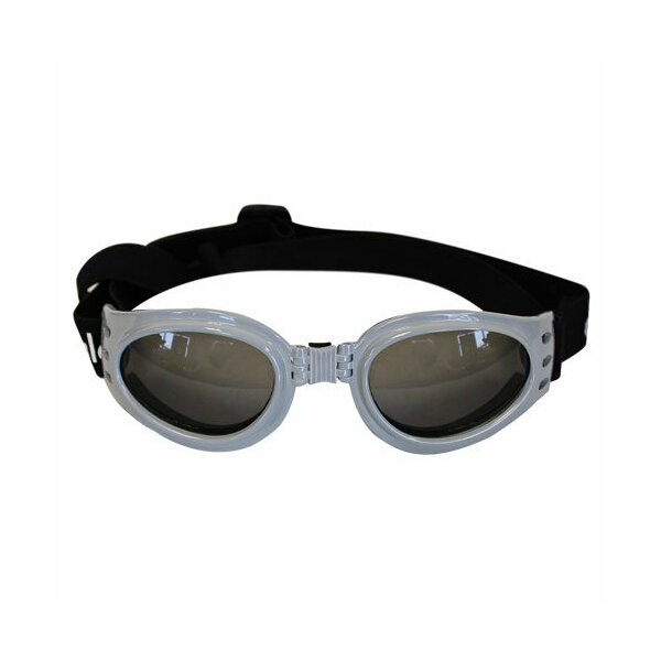 Alcott Explorer UV Sonnenbrille medium
