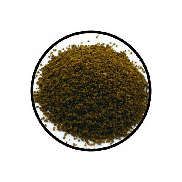 Aquarium Münster Dr. Bassleer Biofish Food Garlic L 60 g Dose