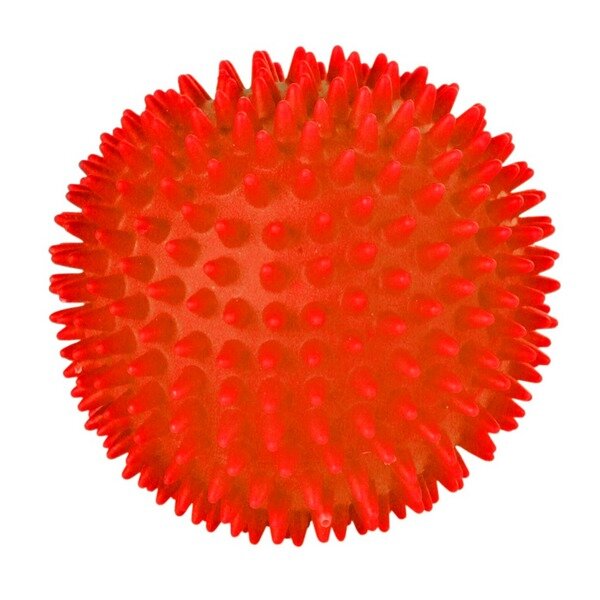 Trixie Spielzeug Igelball Vinyl 10 cm