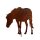 Rostdeko - Pferd grasend Bauernhof Tiere 39x39cm stehend