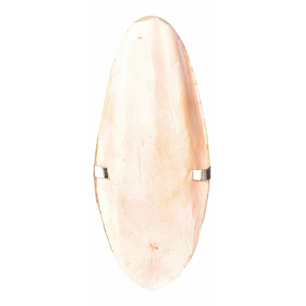 Trixie Sepiaschale klein 12 cm mit Halter