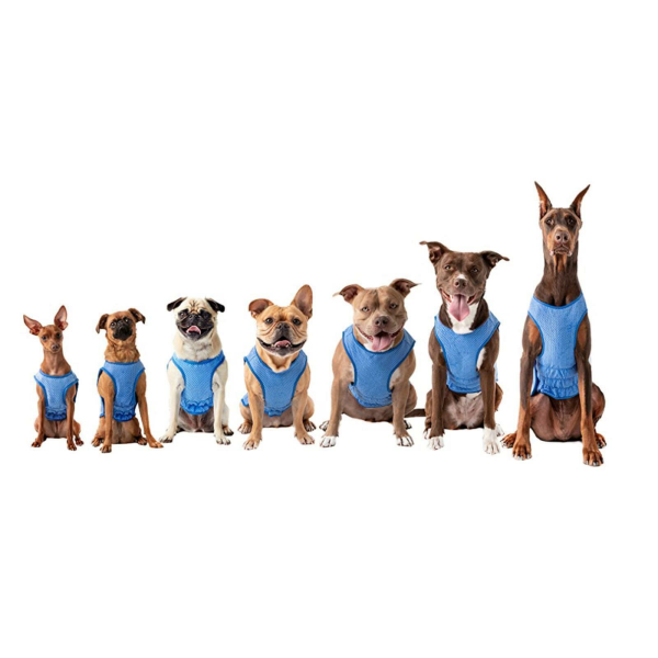 GFPET Kühltuch/Schal L/XL