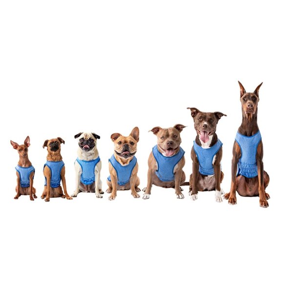 GFPET Kühltuch Schal L - XL