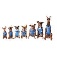 GFPET Kühltuch Schal L - XL