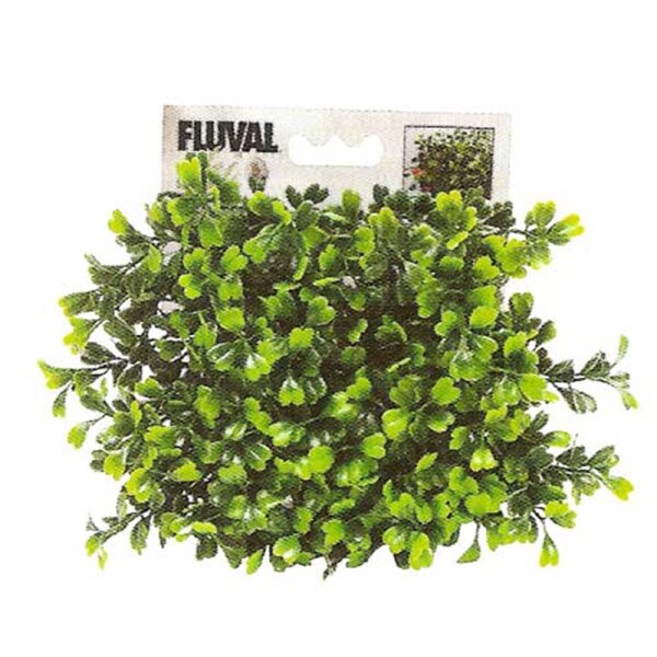 Fluval CHI Ornament Buchsbaum