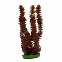 Marina Aquascaper Foxtail 30cm