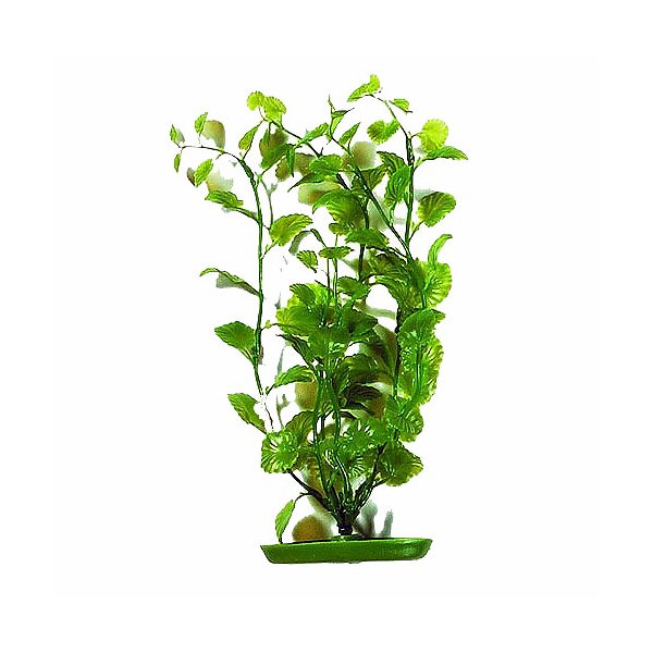 Marina Aquascaper Cardamine 30cm